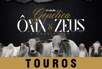 17º LEILÃO GENÉTICA ÔNIX E ZEUS & CONVIDADOS - TOUROS